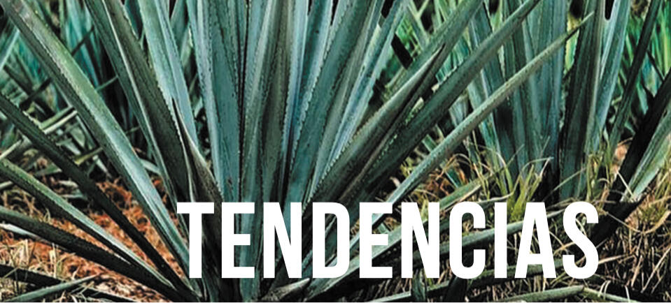 Bienes raíces productivos: maguey. 125mt2: minimo $25,000, enganche $4,250, pagos mensuales $1,152 mxn, Roi 17-21%